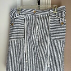 Striped Blue and White Women's Skirt